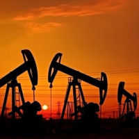 Тайвань увеличил объем импорта нефти из России до рекордных значений