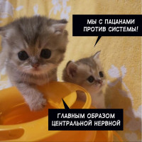 В нищей стране Сан-Томе и Принсипи планируется разработать план декарбонизации промышленности