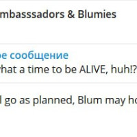 Стало известно про листинг Blum