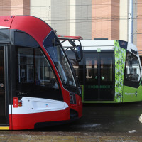 Шушарский трамвай хотят продлить до кампуса СПбГУ