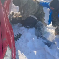 Сотрудники СОБР Росгвардии оказали содействие полиции в задержании двух мужчин, подозреваемых в незаконном обороте наркотиков