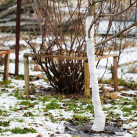 Что нельзя делать садоводам и огородникам в марте