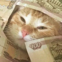 Как успешно работать с инвесторами: ключевые ошибки, которых следует избегать