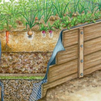 Теплые грядки для богатого урожая