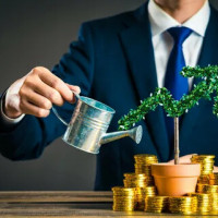 Как работает бизнес с инвесторами: подробное руководство для предпринимателей