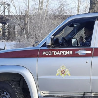 Сотрудники Росгвардии пресекли опасное движение автомобиля под управлением нетрезвого водителя в Омской области