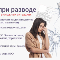 Раздел доли ООО при разводе