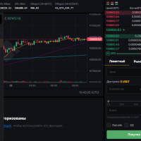 Криптобиржи для трейдеров: Bitrixis, Mandala и Coinut