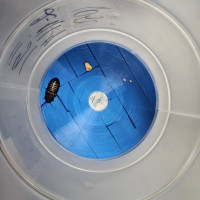 Ученые ПФИЦ УрО РАН и Пермского Политеха впервые записали звуки и передвижение отдельного насекомого при помощи оптического волокна