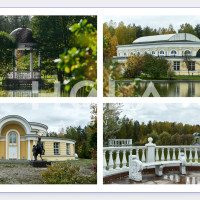 Авито для премиума? Кейс по продвижению элитной усадьбы с ростом заявок на 164%