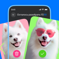 Облако Mail представило функциональность для быстрого разбора фото