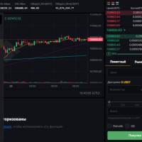 Bitinext, Bibox, Fameex – криптобиржи для трейдинга с удобными условиями