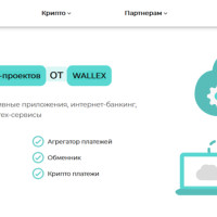 Разработка финтех приложений от Wallex для роста вашего бизнеса