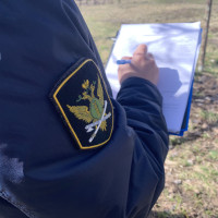 ​ Долг погашен после ареста имущества неплательщика