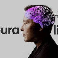 Neuralink запускает клинические испытания имплантов для чтения мыслей