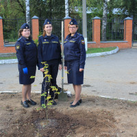 ​ Судебные приставы заложили памятную аллею