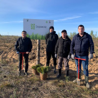 ​ Судебные приставы Марий Эл внесли свой вклад в восстановление леса