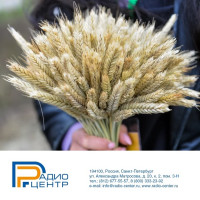 12 октября 2025 года в Российской Федерации отмечается День работников сельского хозяйства