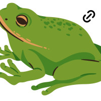 Link Score: Screaming Frog SEO Spider что это такое и как он влияет на SEO