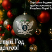 В Марий Эл стартует информационная акция «В Новый год без долгов»