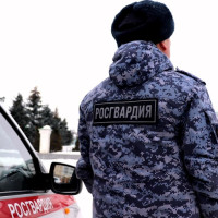 В Марий Эл сотрудники вневедомственной охраны Росгвардии за прошедший месяц выезжали на 190 «тревожных» вызовов