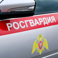 В Марий Эл сотрудники Росгвардии задержали гражданина, подозреваемого в убийстве своего товарища