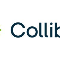 Collibra: опыт работы с ИИ становится решающим фактором при найме сотрудников