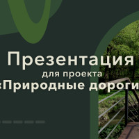 Кейс: разработка презентации для проекта «Природные дороги»