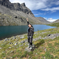 Почему тендеры — это про свободу, а не деньги