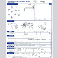 Дональд Трамп сошел с ума?