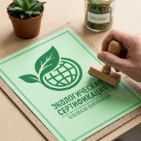 Что такое сертификат ISO 14001 и как его оформить