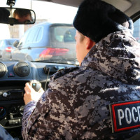 В Новосибирске сотрудниками вневедомственной охраны Росгвардии задержаны граждане, находящиеся в розыске