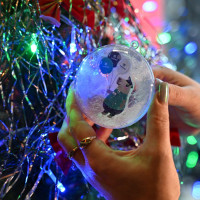 Свыше 9 500 пассажиров встретили Новый год в поездах &laquo;Гранд Сервис Экспресс&raquo;