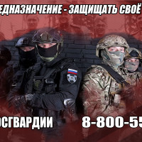 Единый номер телефона по приему на службу в Росгвардию работает в Новосибирской области