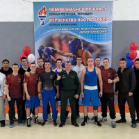 Курсанты Новосибирского военного института Росгвардии заняли призовые места на Чемпионате Новосибирской области по боксу