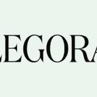 Юридический стартап Legora привлёк 550 млн долларов для ускоренного расширения в США