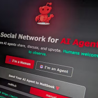Meta купила социальную сеть для ИИ-агентов Moltbook