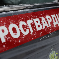 В Новосибирске сотрудниками вневедомственной охраны Росгвардии задержан обвиняемый в совершении преступления
