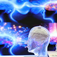 Китайская компания по нейрочипам признала отставание на три года от Neuralink Маска