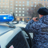 В Новосибирске сотрудниками Росгвардии задержана подозреваемая в краже