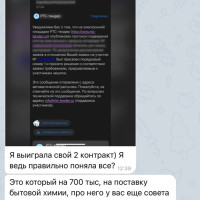 Отзывы Эмили Сараби. +60 000₽ за тендер — так выглядит второй контракт нашей ученицы Ирины