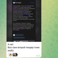 Отзывы Эмили Сараби. Выиграла 3 контракта и заработает 60.000р+