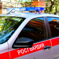 В Марий Эл сотрудники вневедомственной охраны Росгвардии за прошедший месяц задержали более 40 нарушителей