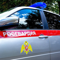 В Марий Эл росгвардейцы задержали гражданина, управлявшего автомобилем без водительского удостоверения