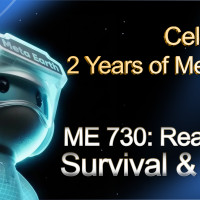 Meta Earth объявляет о мероприятии &laquo;ME 730&raquo; в честь запуска основной сети