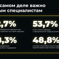 Исследование: 85,3% студентов готовы работать в крупной компании только ради опыта