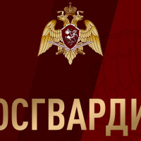 В Управлении Росгвардии по Республике Марий Эл подведены итоги работы за первое полугодие 2026 года