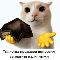 💵 Магия шуршащих купюр