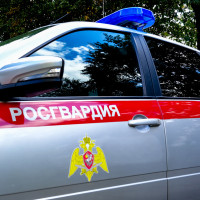 В Марий Эл сотрудники Росгвардии задержали гражданку, находящуюся в федеральном розыске