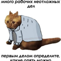 Суета спасает тебя от выбора